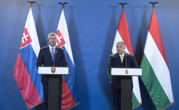 autor: PAP/EPA/Szilard Koszticsak