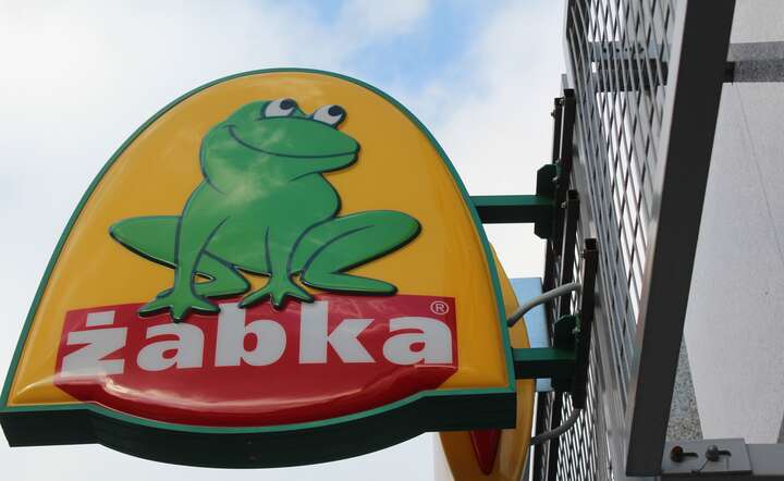 Żabka / autor: Fratria