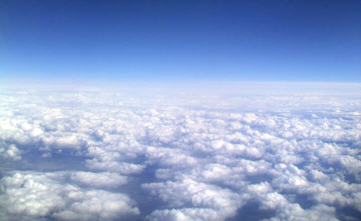 Fot. Freeimages/Copernicus Johnson