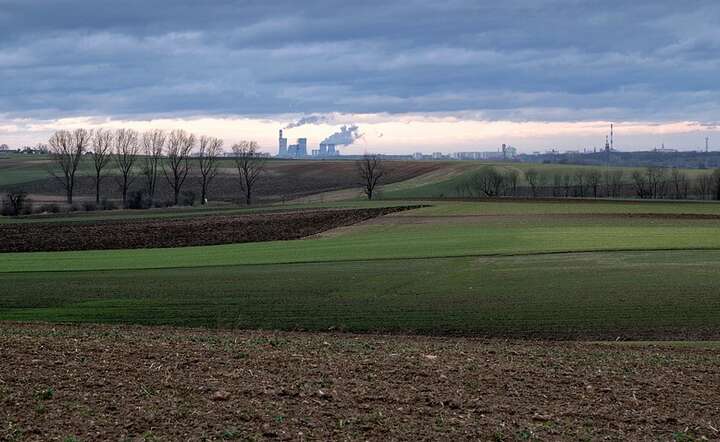 Wśród rolników w związku z kryzysem dominują obawy o brak dopływu sezonowej siły roboczej, głównie w sektorze owoców i warzyw / autor: Pixabay