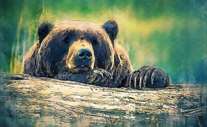 autor: fot. Pixabay