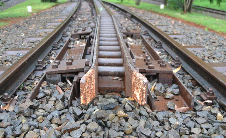 autor: www.sxc.hu