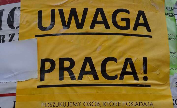 autor: fot. Michał Karnowski / Fratria