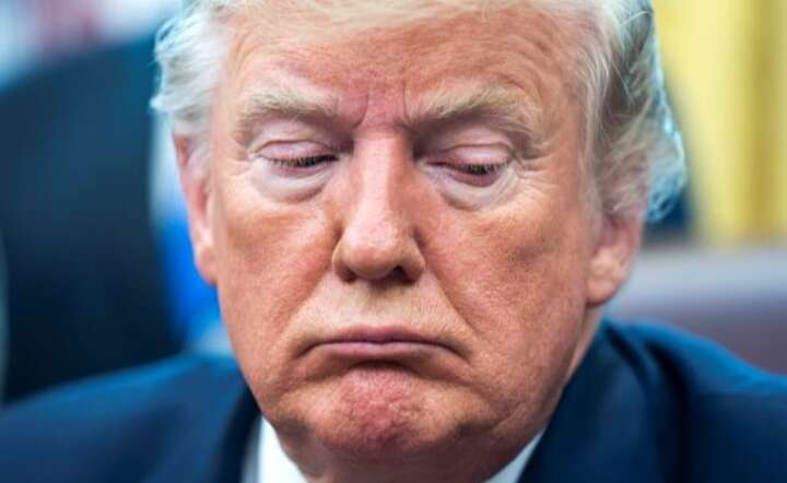Donald Trump / autor: PAP/EPA/JIM LO SCALZO