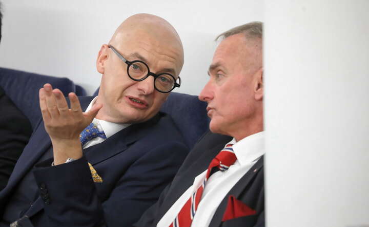 Jednym z marszałków Senatu został też Michał Kamiński / autor: fot. PAP