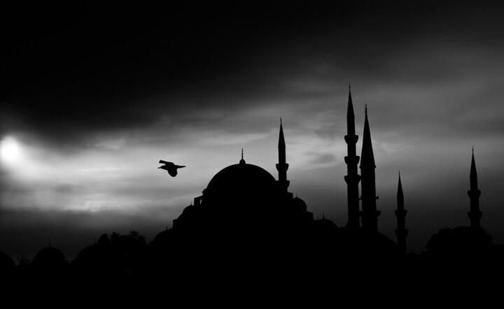 autor: fot. Pixabay