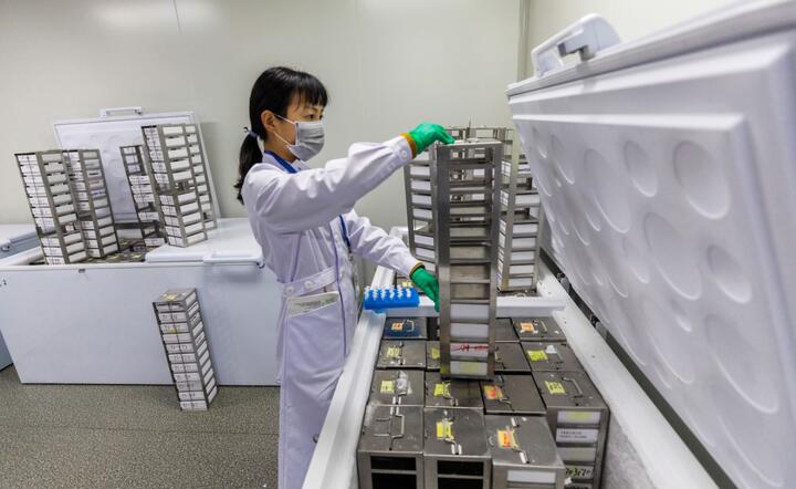 Laboratorium / autor: PAP/EPA/ALEKSANDAR PLAVEVSKI