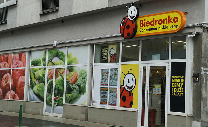 Biedronka / autor: Fratria