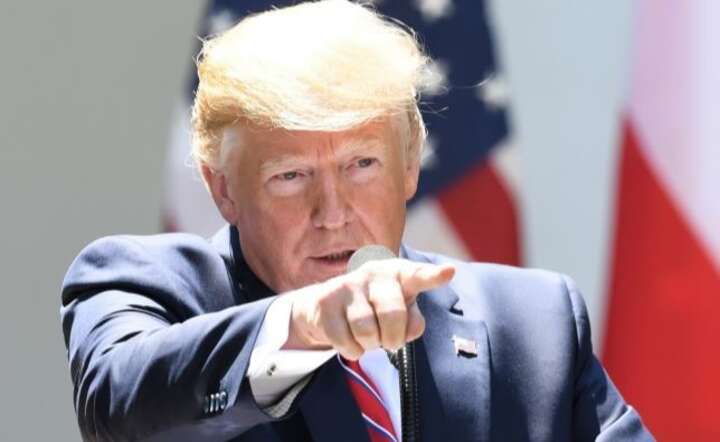 Donald Trump / autor: PAP/Radek Pietruszka