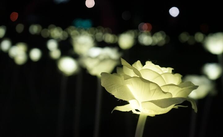 Używanie LEDów wieczorem lub nocą utrudnia zaśnięcie i zaburza rytm okołodobowy / autor: Pixabay