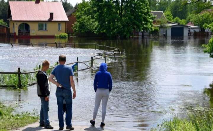 Zapolednik w powiecie tarnobrzeskim / autor: PAP/Darek Delmanowicz