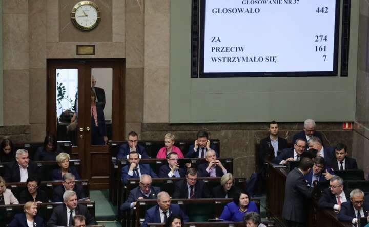 autor: PAP/Tomasz Gzell