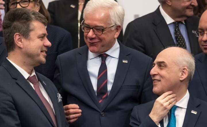 Urmas Reinsalu, Jacek Czaputowicz i David Zalkaliani / autor: PAP/EPA/MARTIN DIVISEK