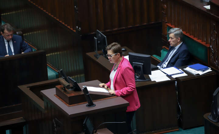 Katarzyna Lubnauer / autor: Zuzanna Kruschewska