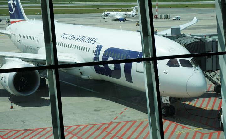 Dreamliner/LOT / autor: Fratria