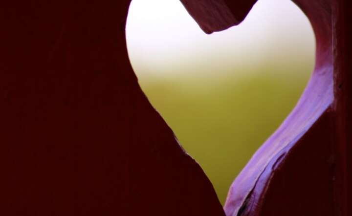 www.sxc.hu
