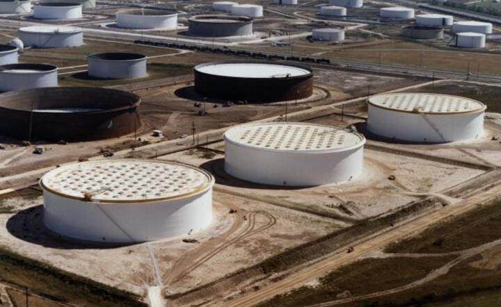 Ilustracja / autor: PAP/EPA/US DEPARTMENT OF ENERGY / HANDOUT