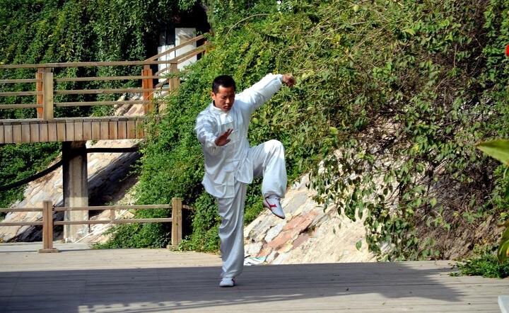 Wu Shu / autor: Pixabay