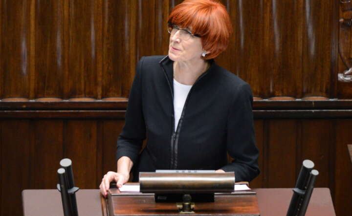 Minister rodziny i pracy Elżbieta Rafalska w trakcie debaty nad projektem "Rodzina 500 plus", fot. PAP/ Jacek Turczyk
