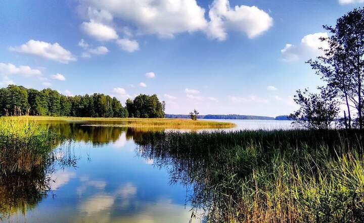 Mazury / autor: Pixabay