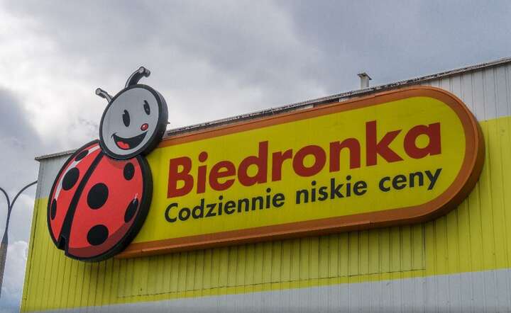 Biedronka / autor: Fratria