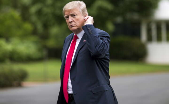 Prezydent USA Donald Trump w ogrodach Białego Domu / autor: fot. PAP/EPA/Zach Gibson