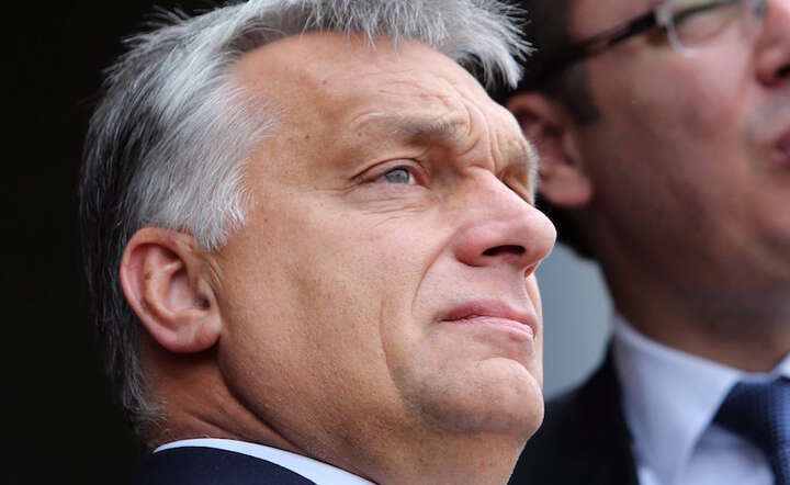 Fot. PAP/EPA/KOCA SULEJMANOVIC
