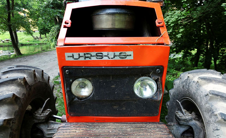 Ursus / autor: Fratria