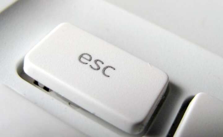 www.sxc.hu