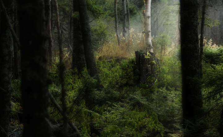 autor: www.sxc.hu