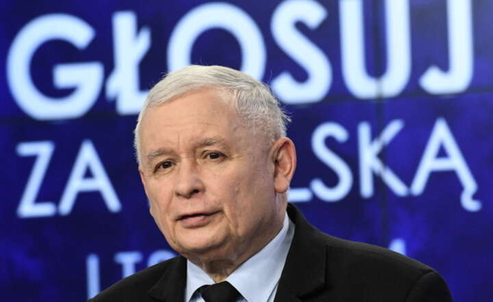 Prezes PiS: nie będziemy przyjmować waluty euro, dopóki nie uzyskamy poziomu rozwoju gospodarczego co najmniej zbliżonego do Niemiec / autor: PAP/Radek Pietruszka