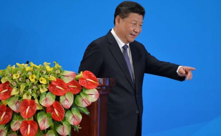Prezydent Chin Xi Jinping, fot. PAPEPA/KENZABURO FUKUHARA
