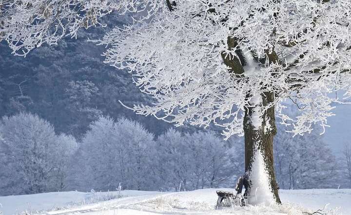 fot. Pixabay / autor: fot. Pixabay