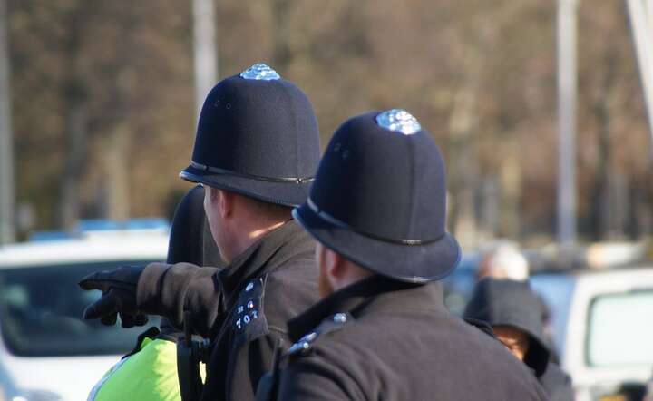 Policja / autor: Pixabay