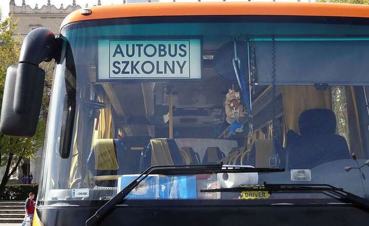 Autobus / autor: Fratria
