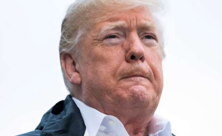 Donald Trump / autor: PAP/EPA/JIM LO SCALZO
