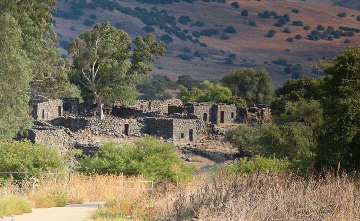 Wzgórza Golan / autor: Pixabay