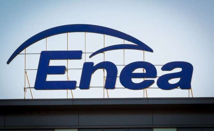 Enea / autor: Enea