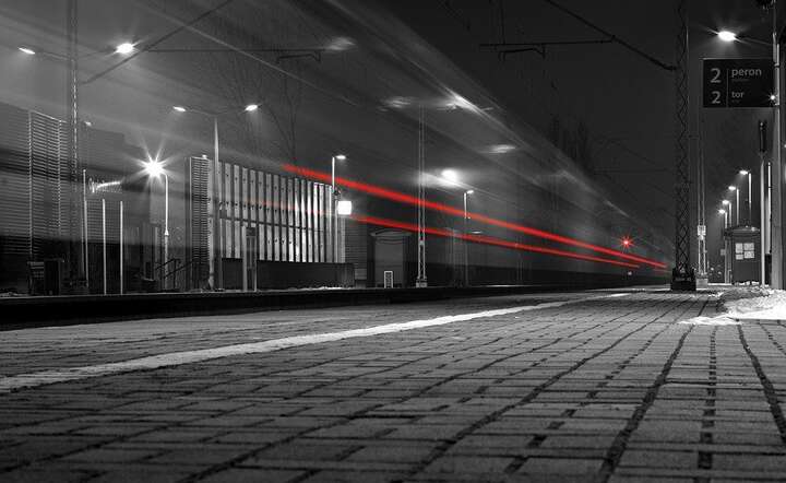 fot. Pixabay / autor: fot. Pixabay