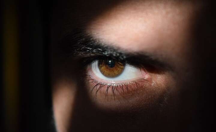 Obeserwator / autor: Pixabay