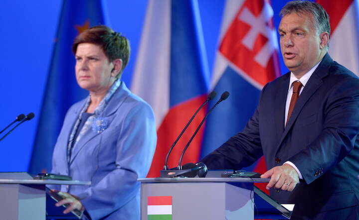 Fot. PAP/Darek Delmanowicz