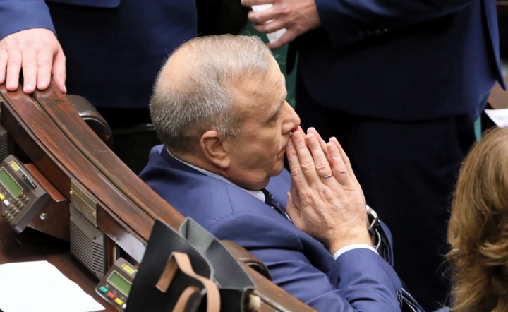 Grzegorz Schetyna / autor: PAP/Paweł Supernak