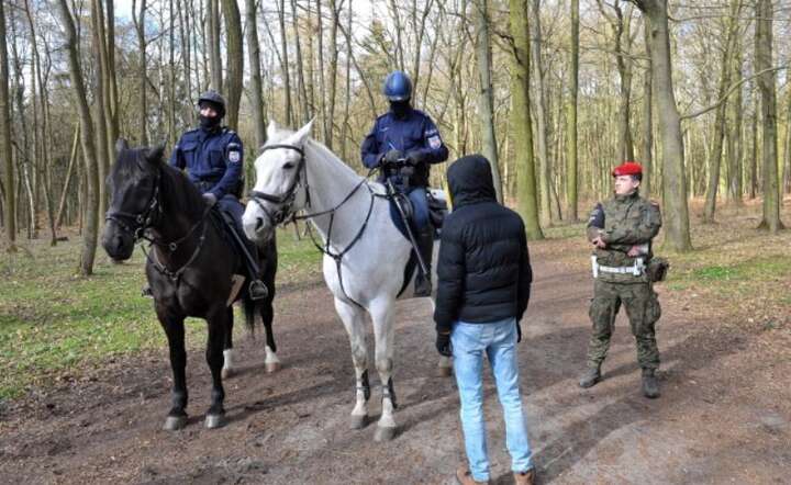 Patrol policji konnej z Żandarmerią Wojskową w Lasku Arkońskim, Szczecin / autor: PAP/Marcin Bielecki