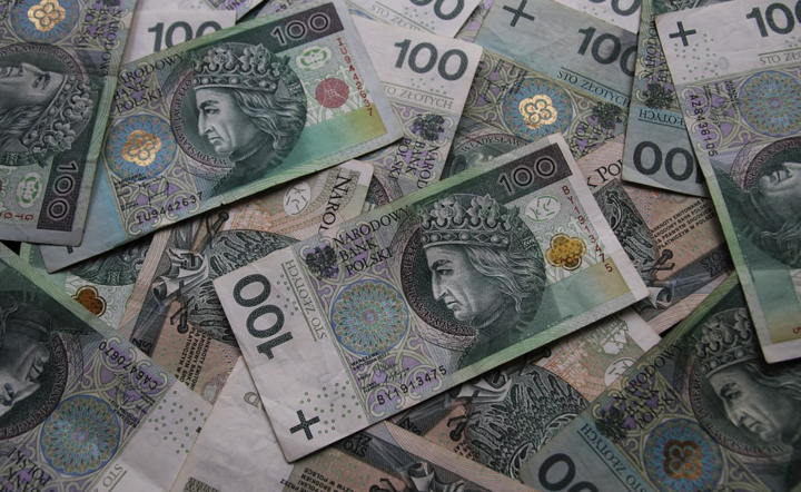 Zarobki Polaków za 50 lat / autor: Pixabay