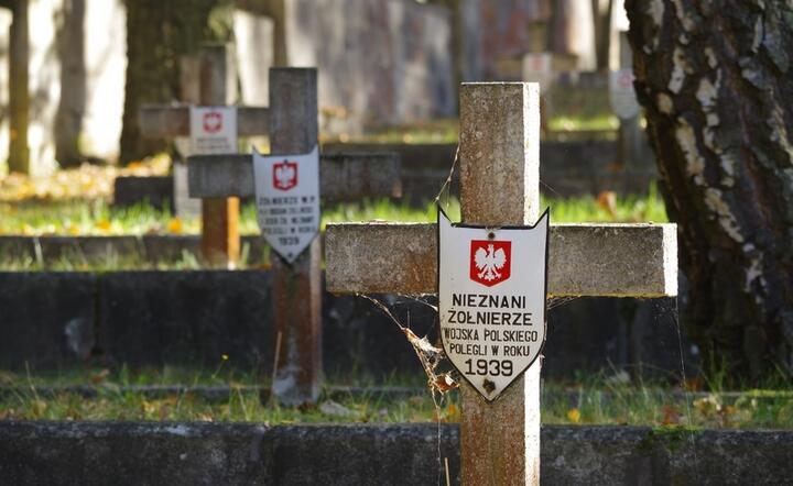 Groby żołnierzy Wojska Polskigo z armii "Poznań" i "Pomorze", którzy zginęli w trakcie bitwy nad Bzurą / autor: Fratria / KK