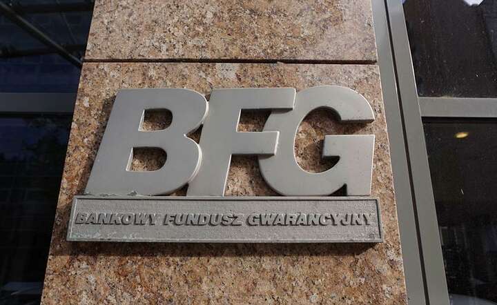 BFG / autor: Fratria