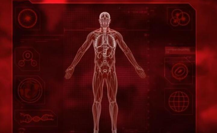 Plague Inc / autor: YouTube/Ndemic Creations