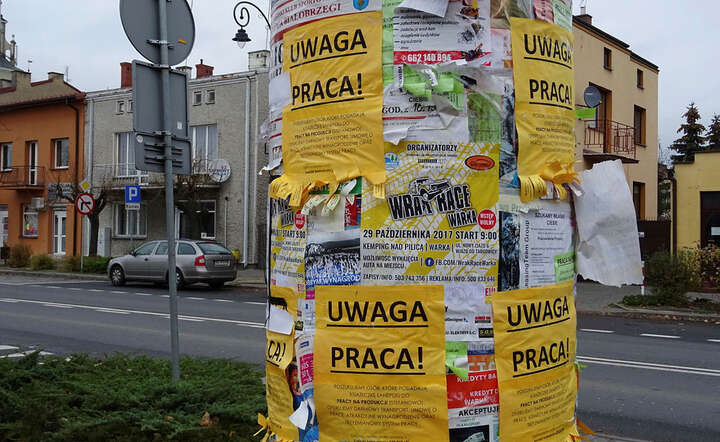 Podaż na pracę w Polsce stale rośnie / autor: Michał Karnowski