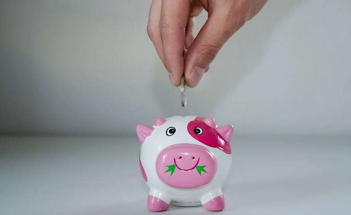 Noworoczne postanowienia finansowe Polaków / autor: Pixabay