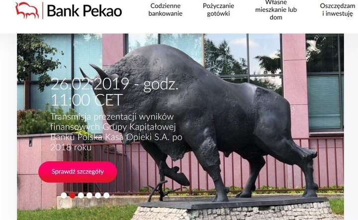 autor: fot. internet